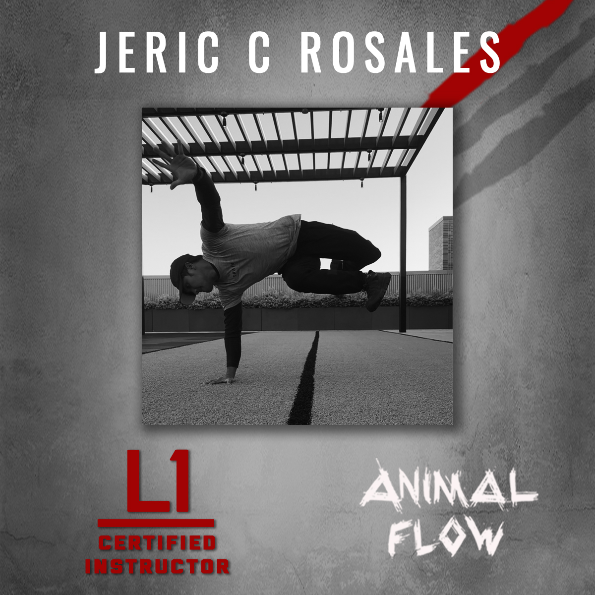 Animal flow personal training.